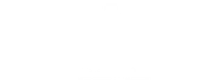 جذور العطور